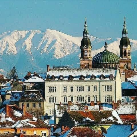 Cozy Residence Sibiu Exteriör bild